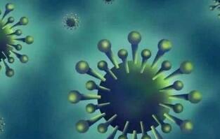 中国科研团队：新冠病毒已突变，有2个亚型，传染力有差异